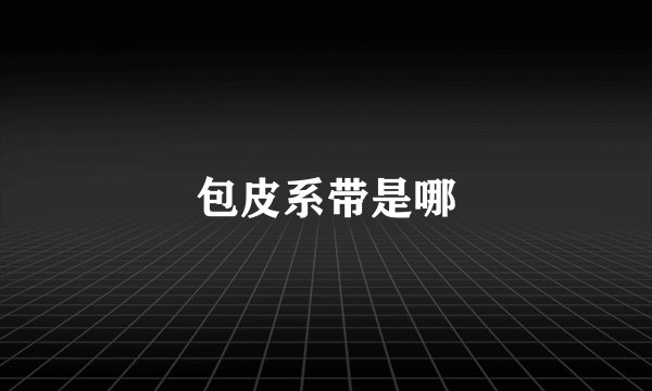 包皮系带是哪