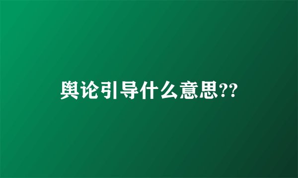 舆论引导什么意思??