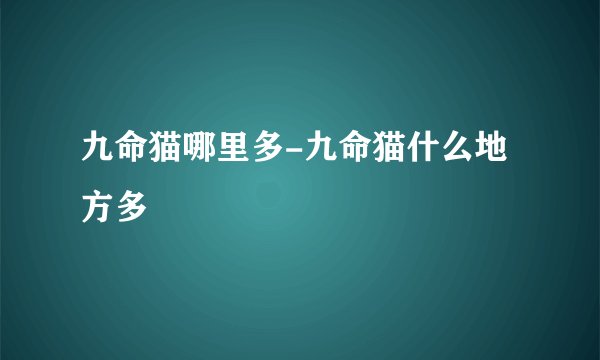 九命猫哪里多-九命猫什么地方多