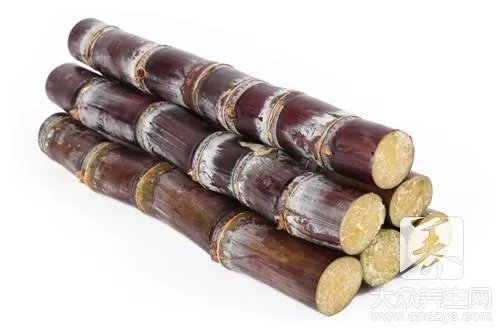 为什么黑皮甘蔗上火
