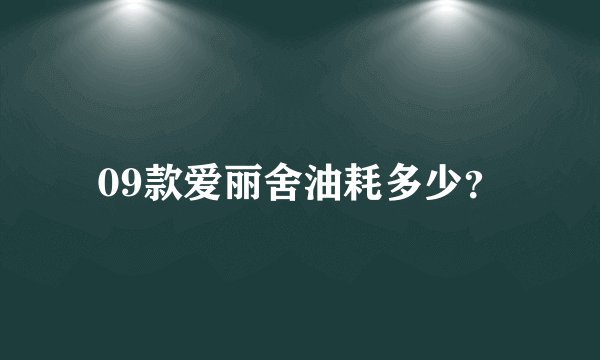 09款爱丽舍油耗多少？