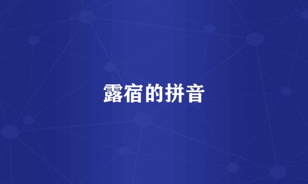 露宿的拼音