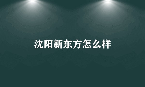 沈阳新东方怎么样