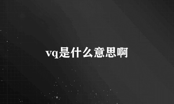 vq是什么意思啊