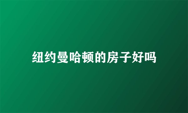 纽约曼哈顿的房子好吗