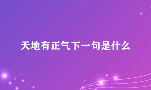 天地有正气下一句是什么