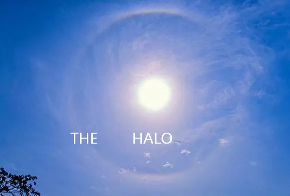 HALO是什么意思