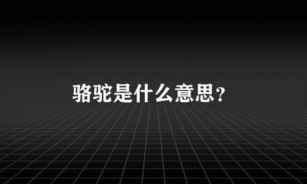 骆驼是什么意思？