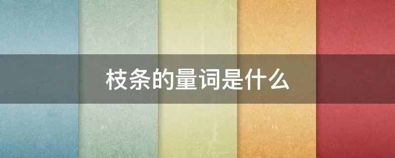 枝条的量词是什么