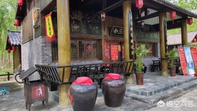 合肥滨湖国家湿地森林公园,好不好玩呢?