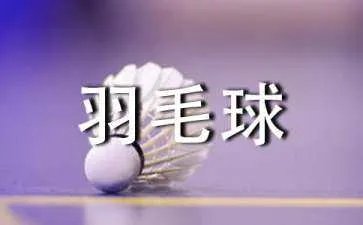女双羽毛球规则