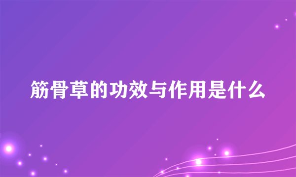 筋骨草的功效与作用是什么