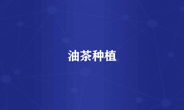 油茶种植