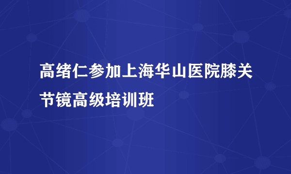 高绪仁参加上海华山医院膝关节镜高级培训班