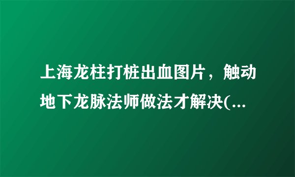 上海龙柱打桩出血图片,触动地下龙脉法师做法才解决(谣传)_飞外