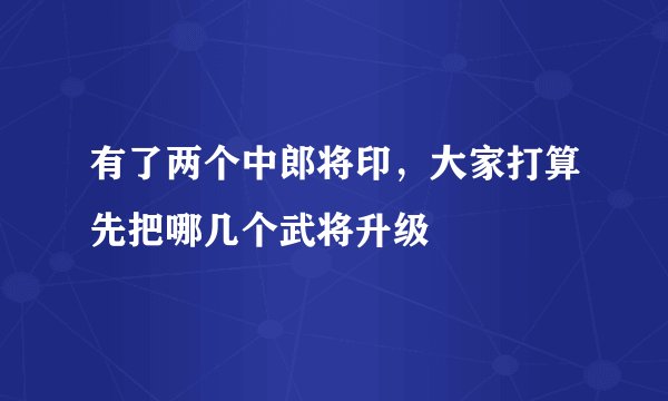 有了两个中郎将印，大家打算先把哪几个武将升级