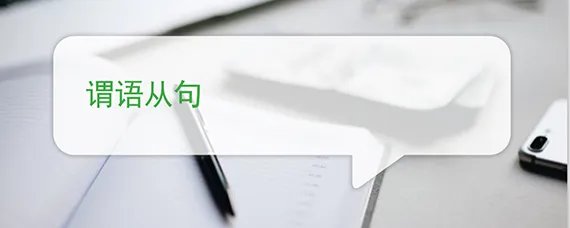 谓语从句