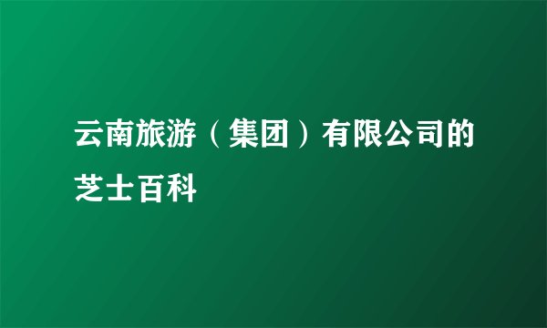 云南旅游（集团）有限公司的芝士百科