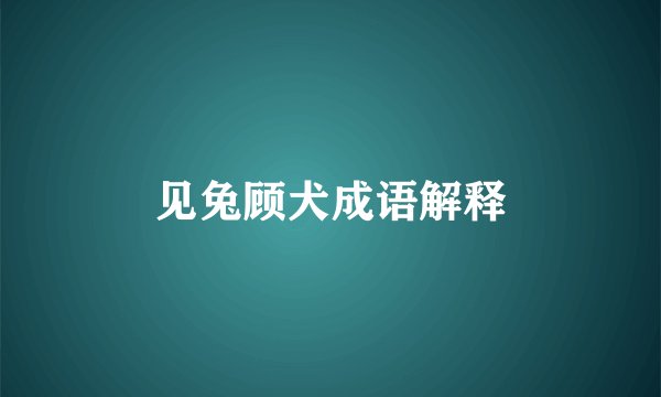 见兔顾犬成语解释