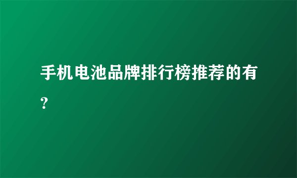 手机电池品牌排行榜推荐的有?