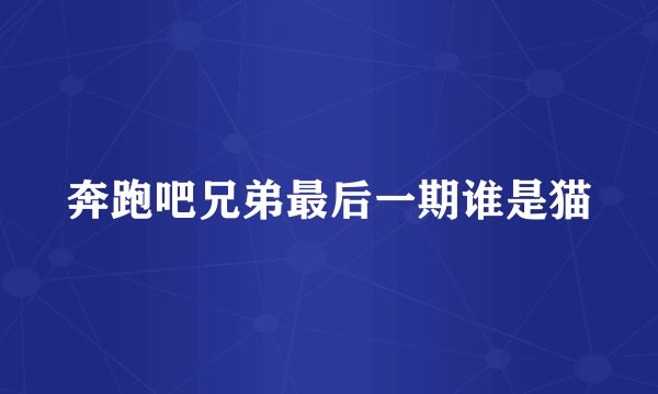 奔跑吧兄弟最后一期谁是猫