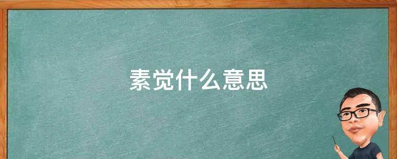 素觉什么意思
