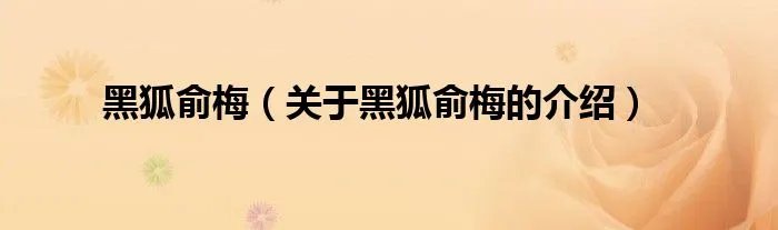 黑狐俞梅（关于黑狐俞梅的介绍）