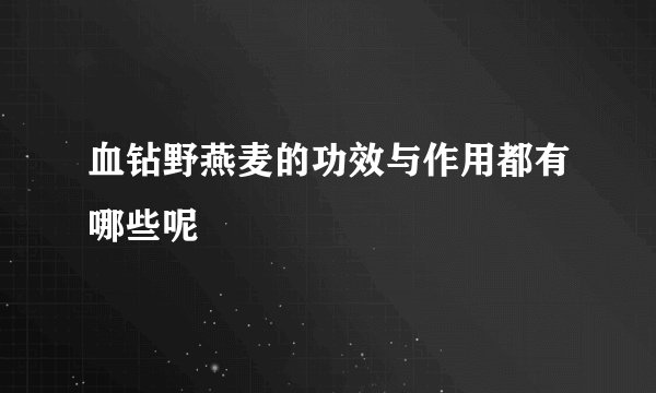 血钻野燕麦的功效与作用都有哪些呢