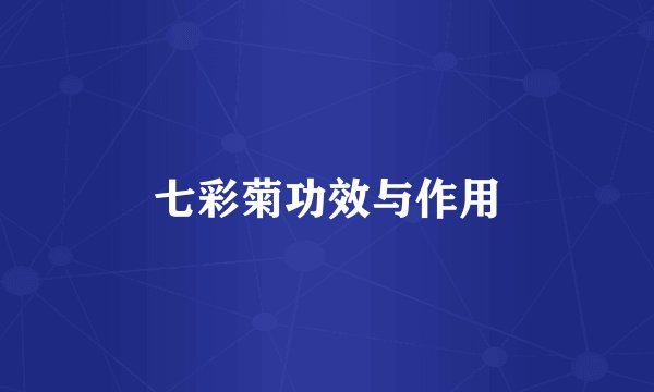 七彩菊功效与作用