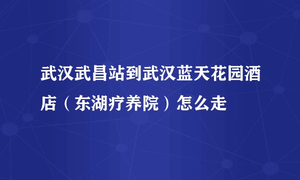武汉武昌站到武汉蓝天花园酒店（东湖疗养院）怎么走