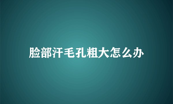 脸部汗毛孔粗大怎么办