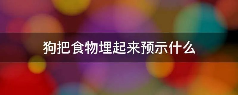 狗把食物埋起来预示什么