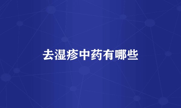 去湿疹中药有哪些