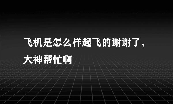 飞机是怎么样起飞的谢谢了,大神帮忙啊