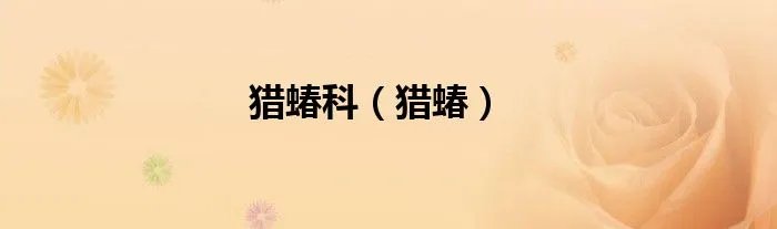 猎蝽科（猎蝽）