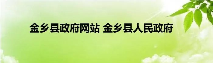 金乡县政府网站 金乡县人民政府