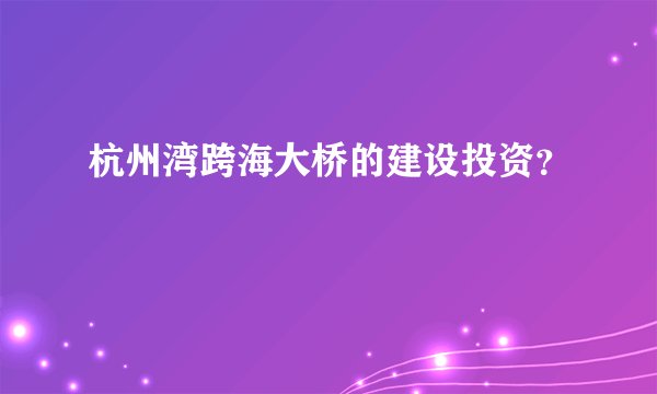 杭州湾跨海大桥的建设投资？