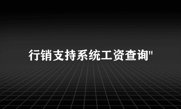 行销支持系统工资查询