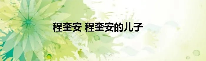 程奎安 程奎安的儿子