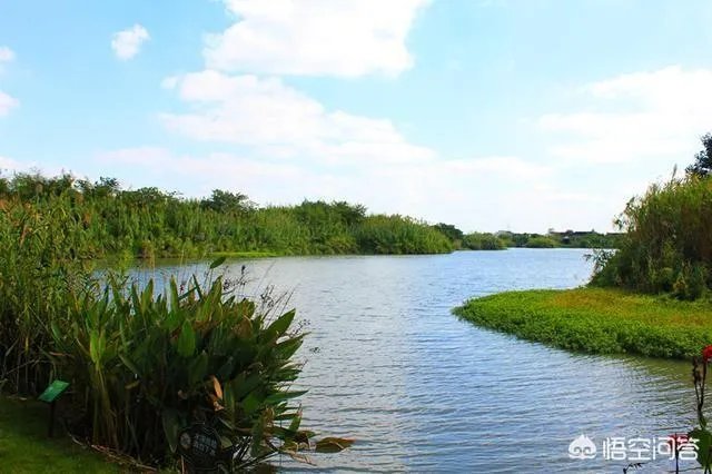 京剧《沙家浜》的前身是什么?