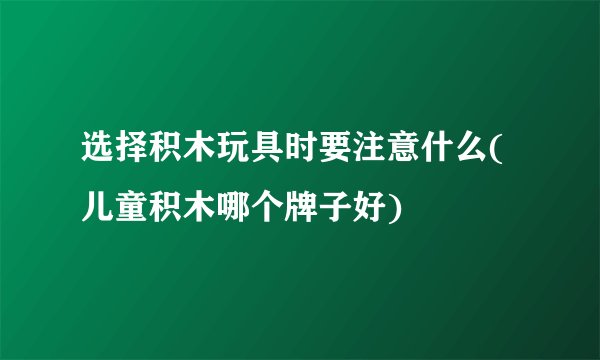 选择积木玩具时要注意什么(儿童积木哪个牌子好)