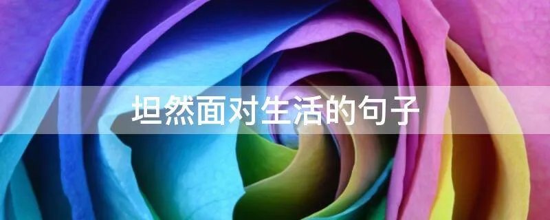 坦然面对生活的句子