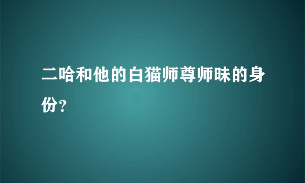 二哈和他的白猫师尊师昧的身份？
