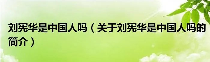刘宪华是中国人吗(关于刘宪华是中国人吗的简介)