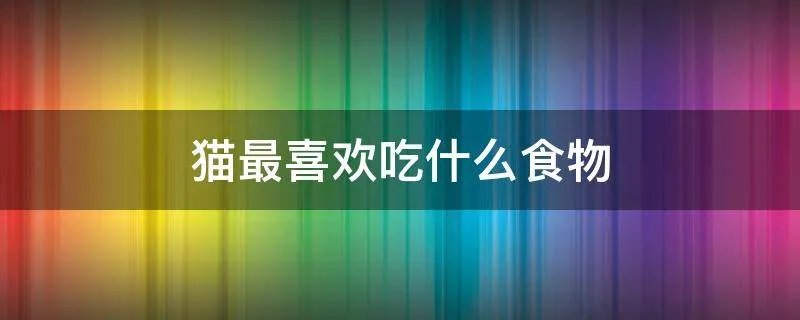 猫最喜欢吃什么食物