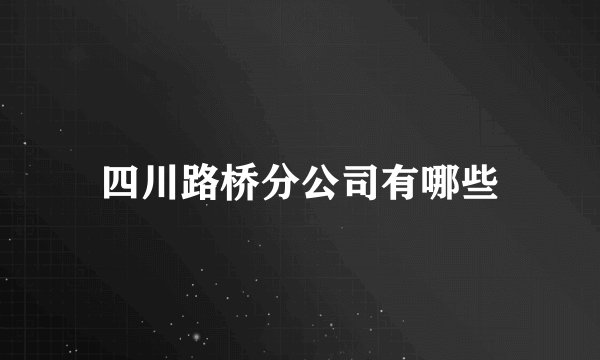 四川路桥分公司有哪些