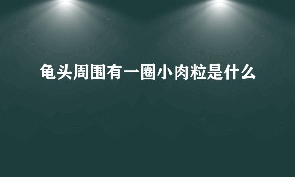 龟头周围有一圈小肉粒是什么