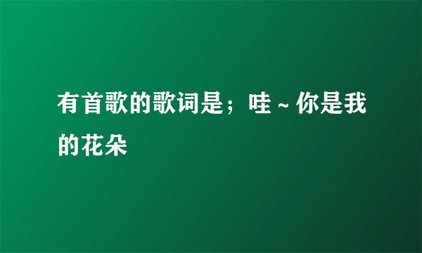 有首歌的歌词是;哇~你是我的花朵