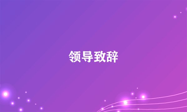 领导致辞