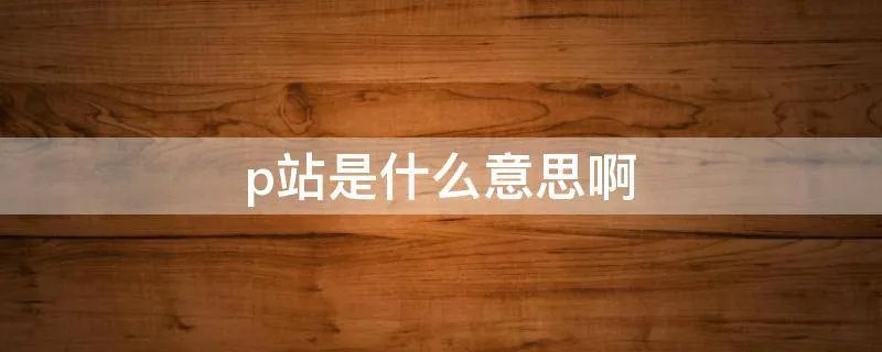 p站是什么意思啊